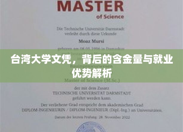 解码台大文凭，价值与职场竞争力大揭秘