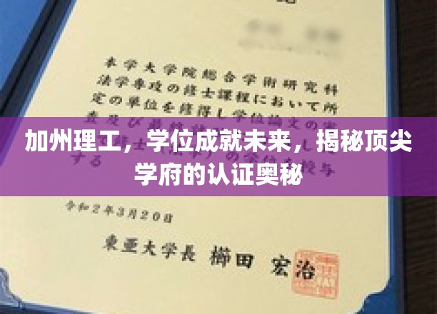 加州理工，解码未来精英摇篮的学位奥秘