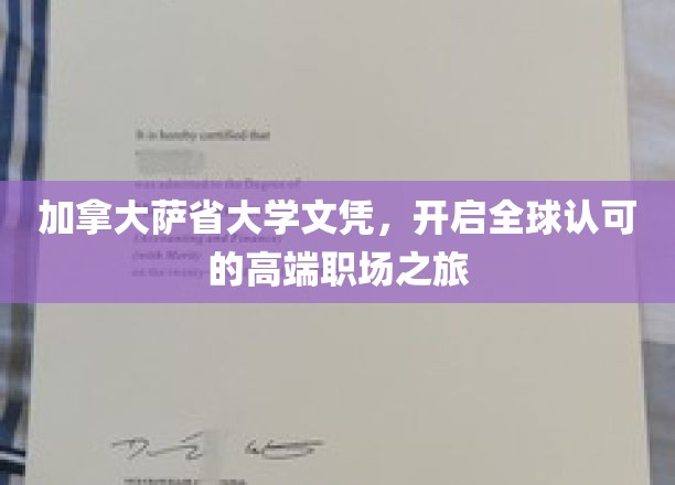 跨国职场通行证，萨省大学文凭助你扬帆国际舞台