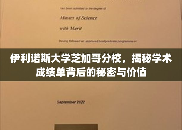 揭秘伊利诺斯大学芝加哥分校，成绩单背后的非凡价值与奥秘