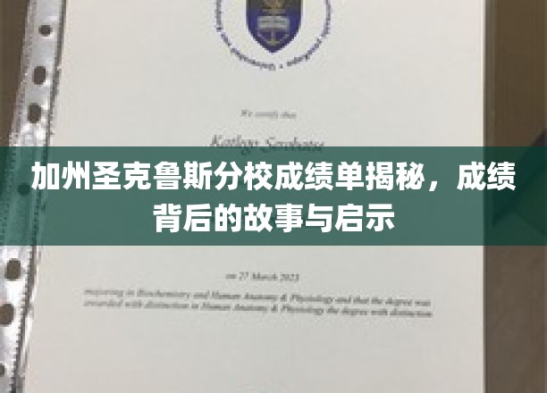 加州圣克鲁斯分校成绩单揭秘，成绩背后的故事与启示