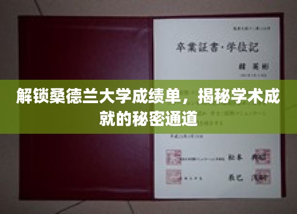 探索桑德兰大学成绩单背后的学术宝藏之路