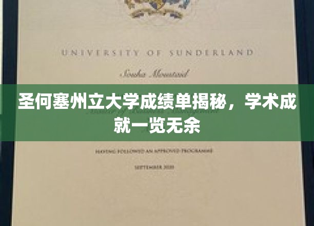 圣何塞州立大学成绩单揭秘，学术成就一览无余