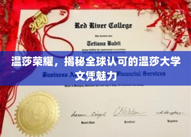 探寻温莎大学全球认可文凭的独特魅力