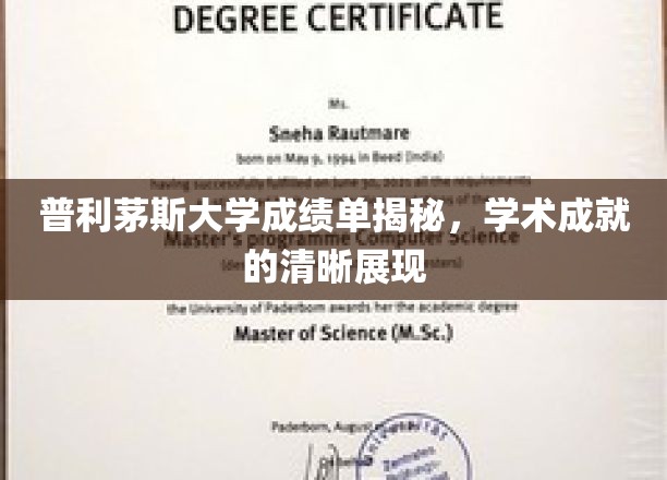 普利茅斯大学成绩单揭秘，学术成就的清晰展现