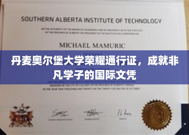 解锁国际视野，奥尔堡大学颁发荣耀通行证，助学子成就非凡人生