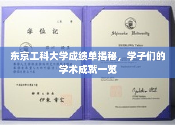 东京工科大学成绩单揭秘，学子们的学术成就一览
