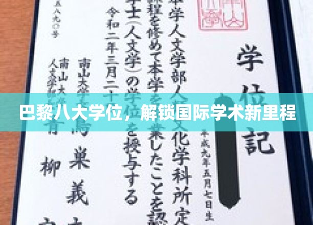 跨国学术新篇章，巴黎八大学位引领全球教育新潮流