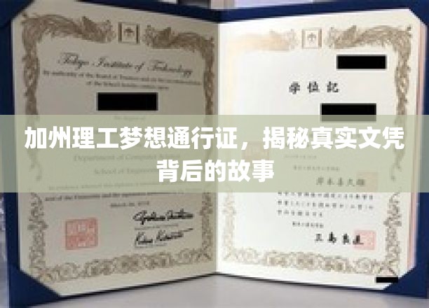 解码加州理工，揭秘名校文凭背后的非凡旅程
