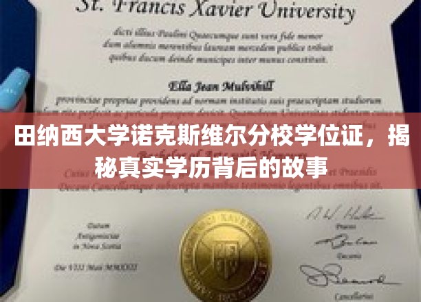 田纳西大学学历之谜，诺克斯维尔分校学位证背后的真实轨迹