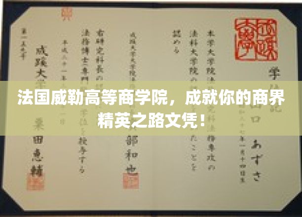 法国威勒商学院，开启商界领袖的荣耀征程，成就非凡未来！