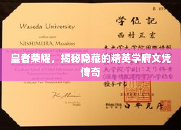 荣耀学府，探寻王者背后的精英教育秘境