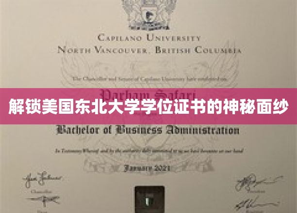 探寻东北大学学位证书背后的秘密世界