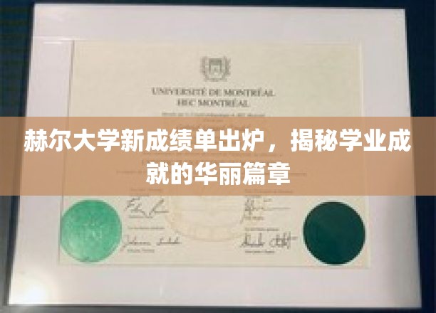 赫尔大学新成绩单闪耀，开启学业辉煌新篇章