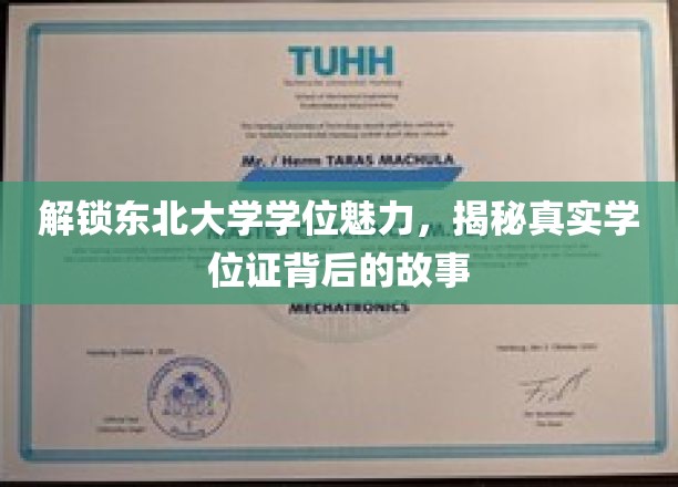 探索东北大学学位的魅力，揭秘真实学位证背后的故事