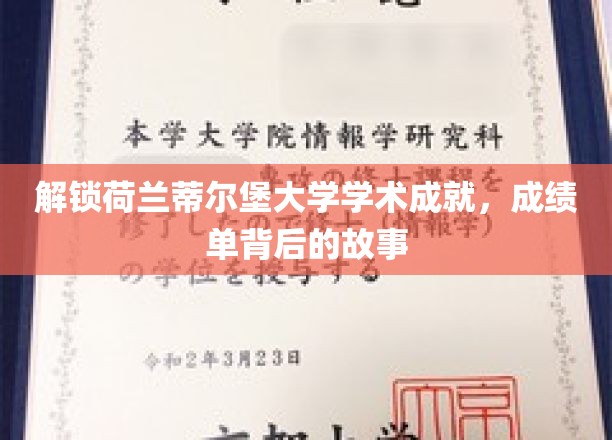 解锁荷兰蒂尔堡大学学术成就，成绩单背后的故事
