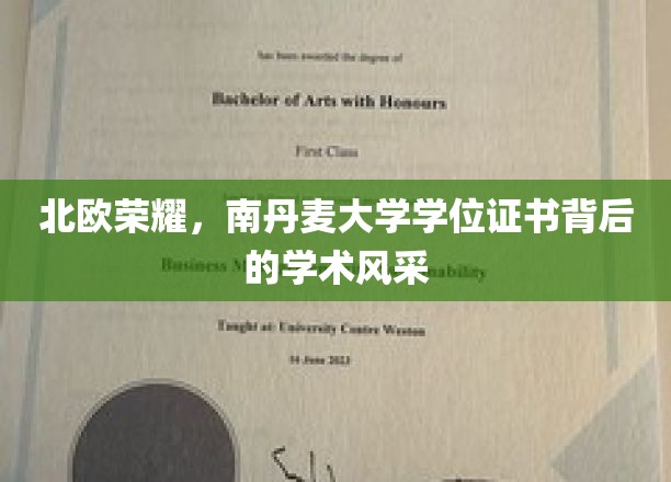 北欧荣耀，南丹麦大学学位证书背后的学术风采