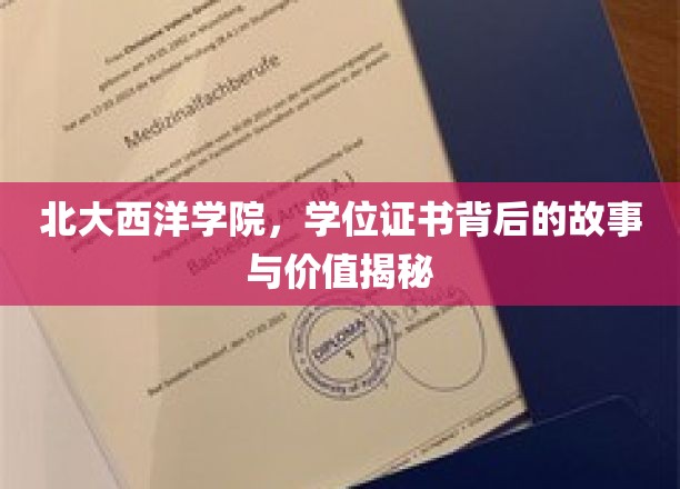 北大西洋学院学位证书，揭开背后的传奇与价值面纱