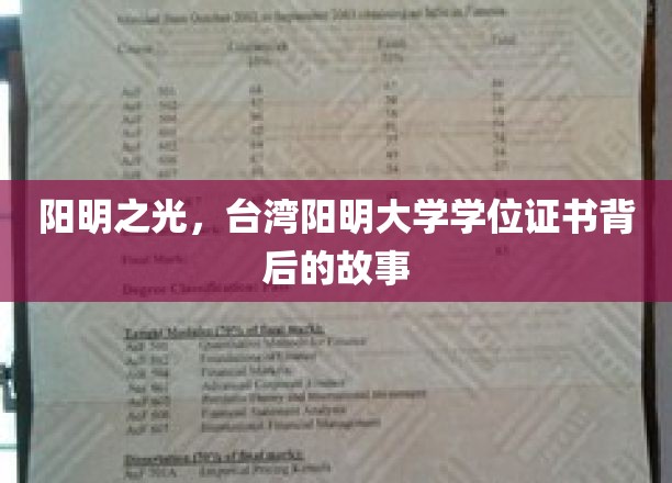 台湾阳明之光，揭秘学位证书背后的传奇历程