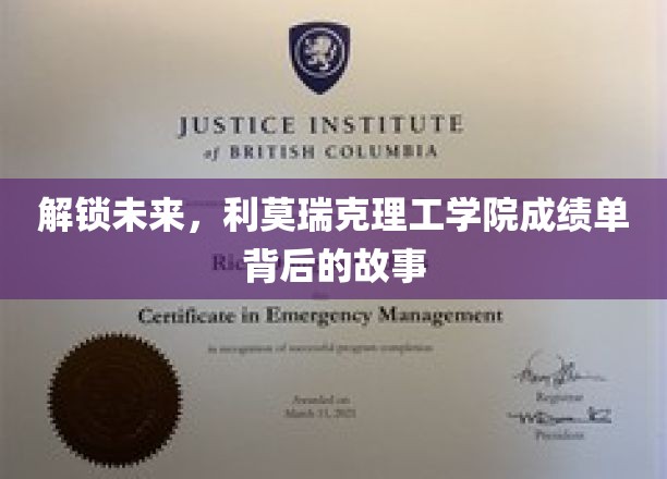 揭秘利莫瑞克理工学院，成绩单背后的创新与突破