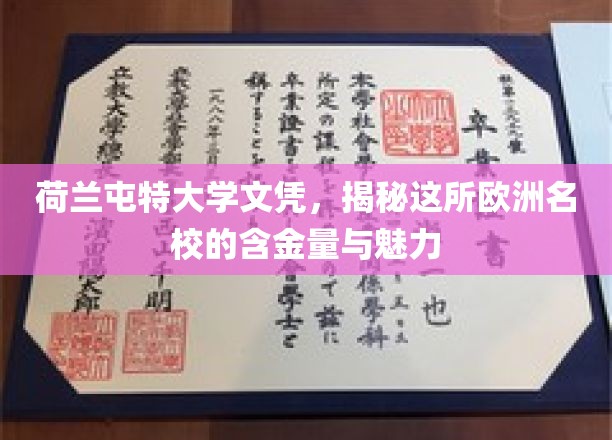 荷兰屯特大学文凭，解码欧洲顶级学府的实力与风采