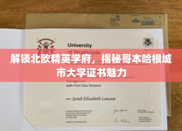 探寻哥本哈根城市大学证书的北欧精英奥秘