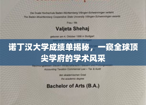 诺丁汉大学成绩单揭秘，一窥全球顶尖学府的学术风采