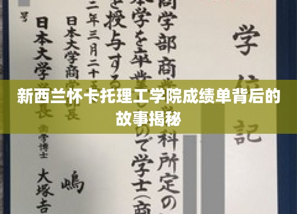 解码怀卡托理工学院，那些不为人知成绩单背后的传奇旅程
