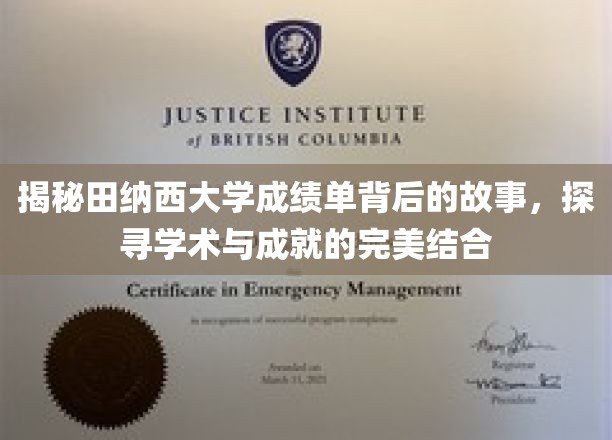 揭开田纳西大学成绩单的面纱，探寻学术成就的奥秘之路