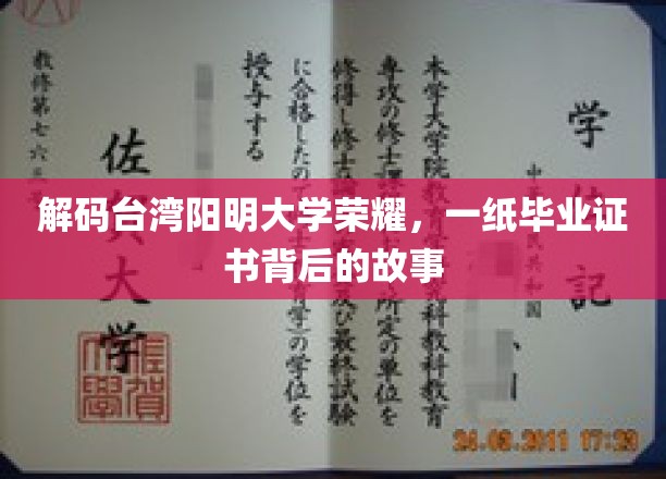 解码台湾阳明大学荣耀，一纸毕业证书背后的故事