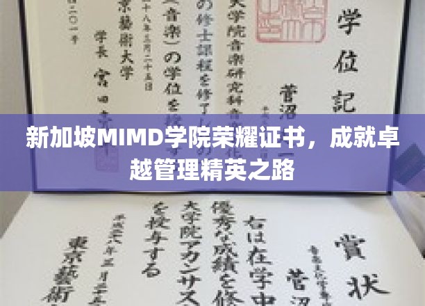 解码新加坡MIMD学院荣耀证书，开启卓越管理精英之门