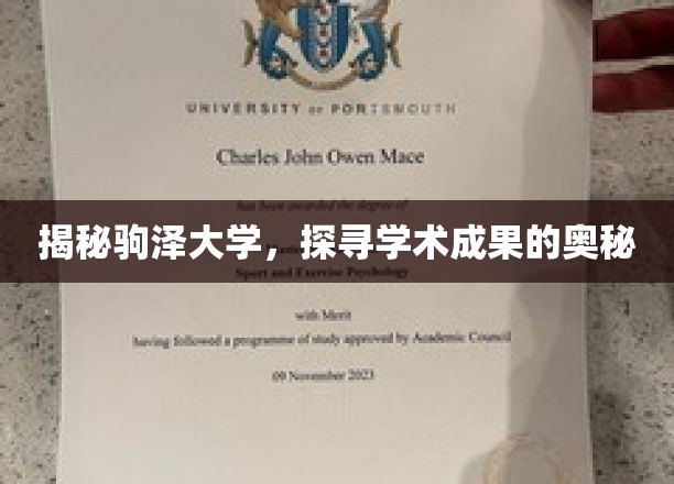 探寻驹泽大学，解码学术宝藏的神秘之门