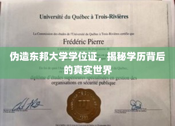揭秘伪造东邦大学学位证背后的真实学历世界