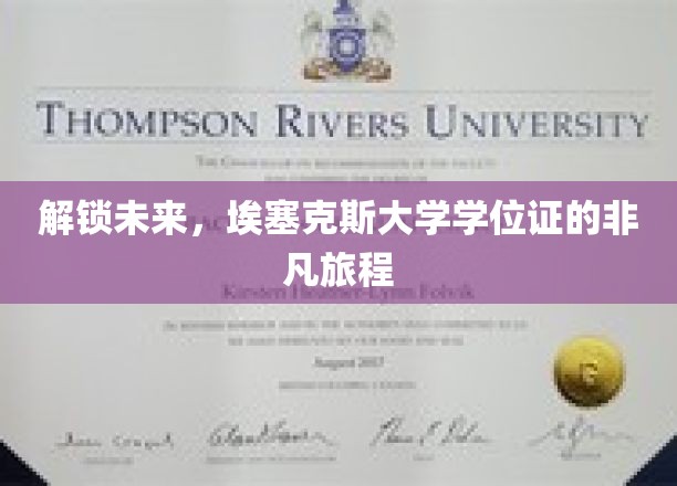 探索未来之门，埃塞克斯大学学位证的非凡征途