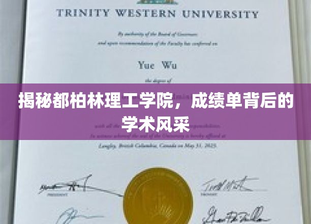 都柏林理工学院，成绩单背后，一探学术璀璨之光