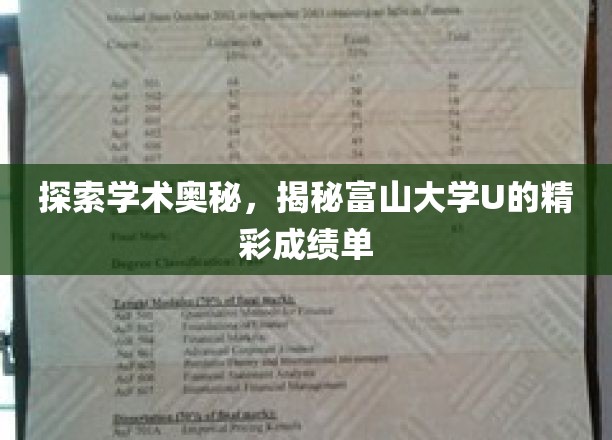 解码富山大学U，探寻学术巅峰的秘密成就
