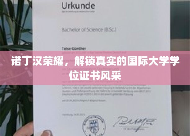 诺丁汉学位证书之美，揭开国际化教育成就的璀璨面纱