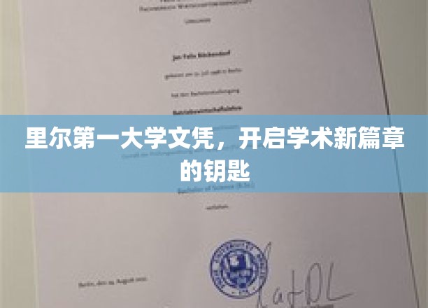 解锁学术之门，里尔第一大学文凭，开启无限可能