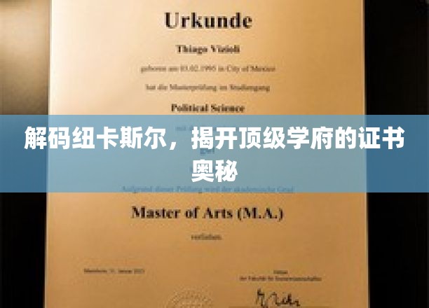 解码纽卡斯尔，揭开顶级学府的证书奥秘