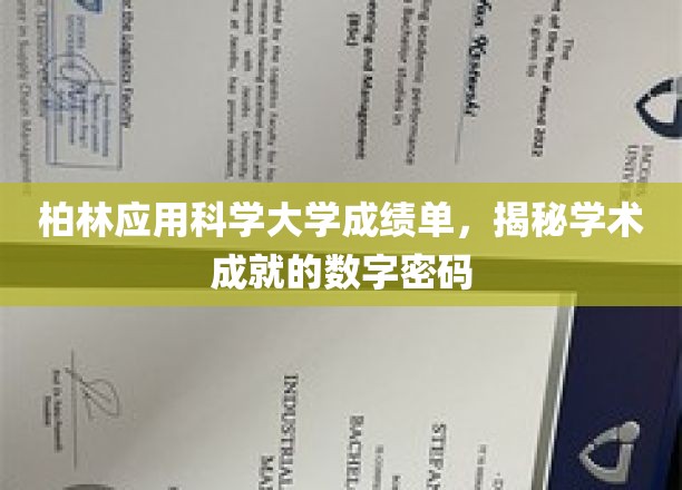 柏林应用科学大学成绩单，揭秘学术成就的数字密码