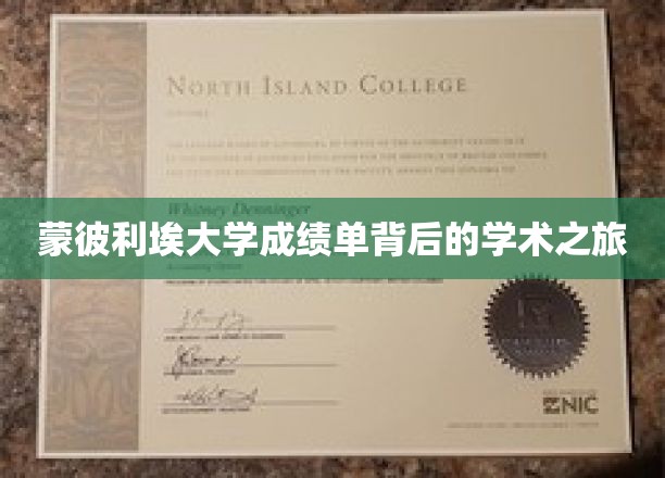 蒙彼利埃大学成绩单背后的学术之旅