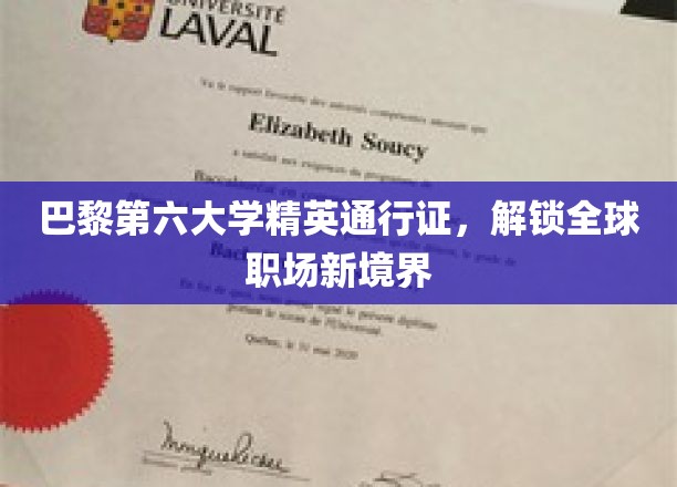 巴黎第六大学精英通行证，解锁全球职场新境界
