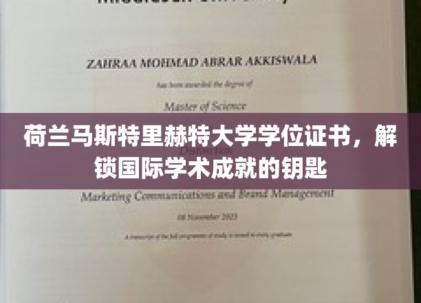 解锁全球视野，荷兰马斯特里赫特大学学位，成就国际学术新篇章