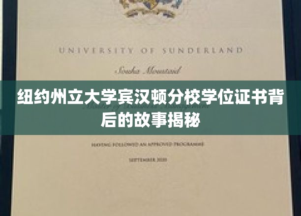 揭开纽约州立大学宾汉顿分校学位证书的传奇历程