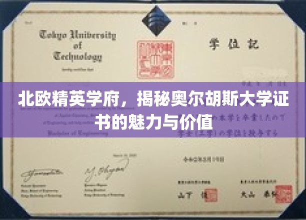 北欧精英学府,揭秘奥尔胡斯大学证书的魅力与价值
