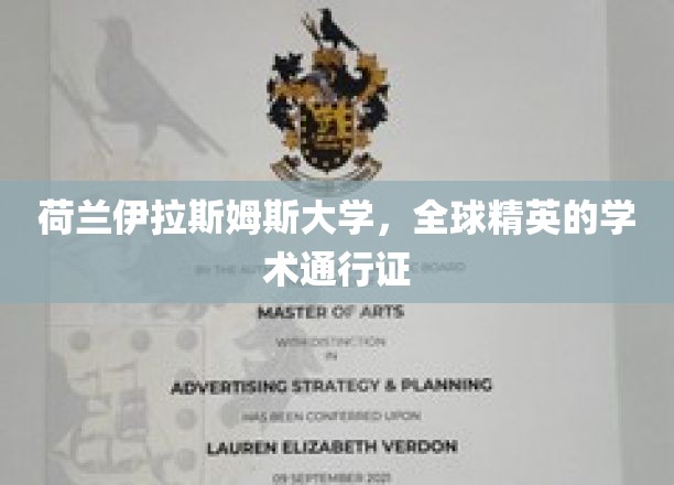 跨越世界的知识护照，荷兰伊拉斯姆斯大学的全球精英摇篮