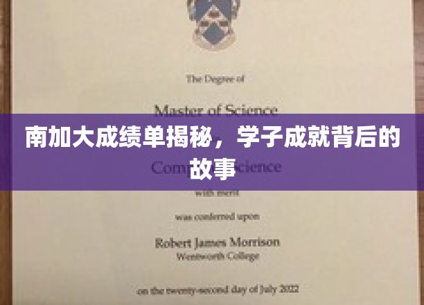 解码南加大学霸传奇，揭秘学子的非凡成就之路