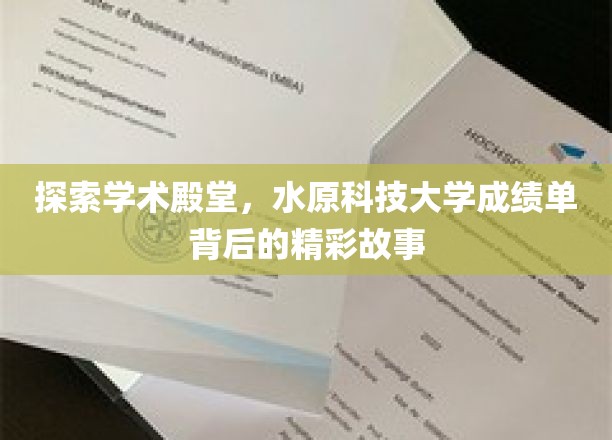 解码水原科技大学，揭秘成绩单背后的学术传奇