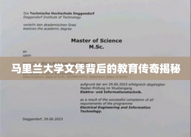 马里兰大学文凭背后的非凡教育故事大揭秘