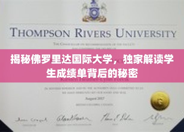 探索佛罗里达国际大学，揭秘成绩单背后的真实故事
